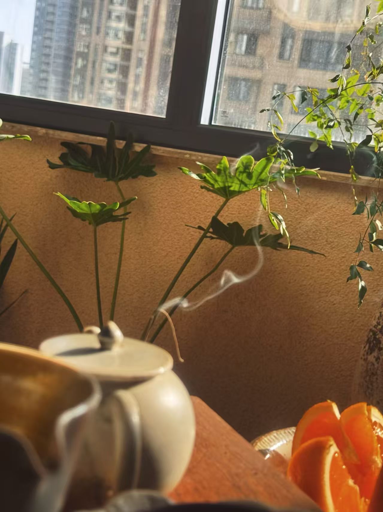 不是消极躺平！“得之我幸失之我命 浮沉由天定” 的真正含义太治愈